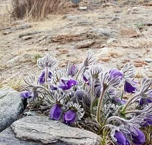 ополнительное фото тура 