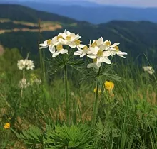 ополнительное фото тура 