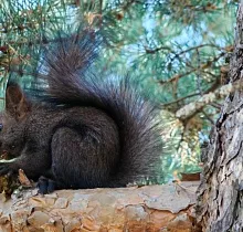 ополнительное фото тура 