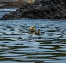 ополнительное фото тура 