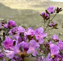 ополнительное фото тура 