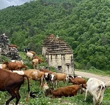 ополнительное фото тура 