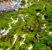 ополнительное фото тура 